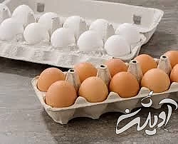 قیمت تخم‌مرغ دوباره پر کشید؟
